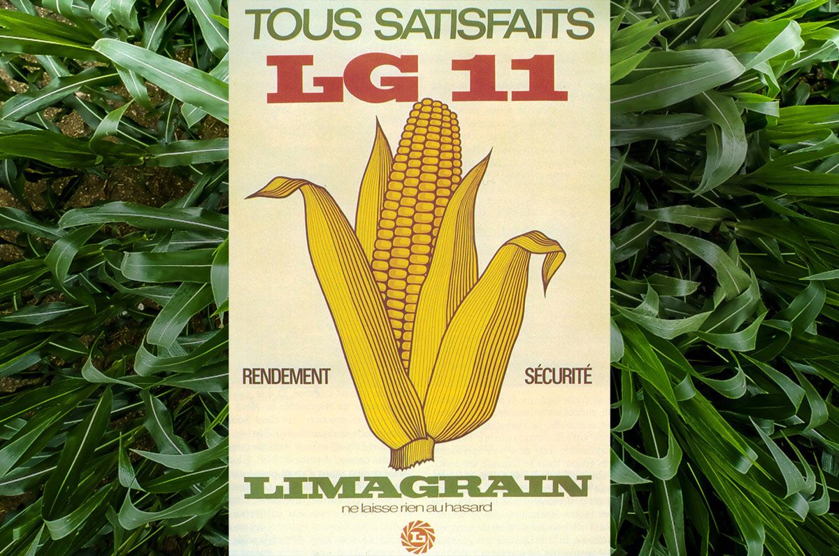 Visuel Limagrain