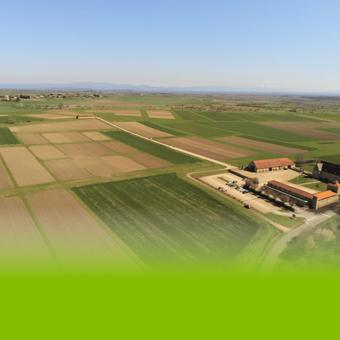 The Matrix crop system