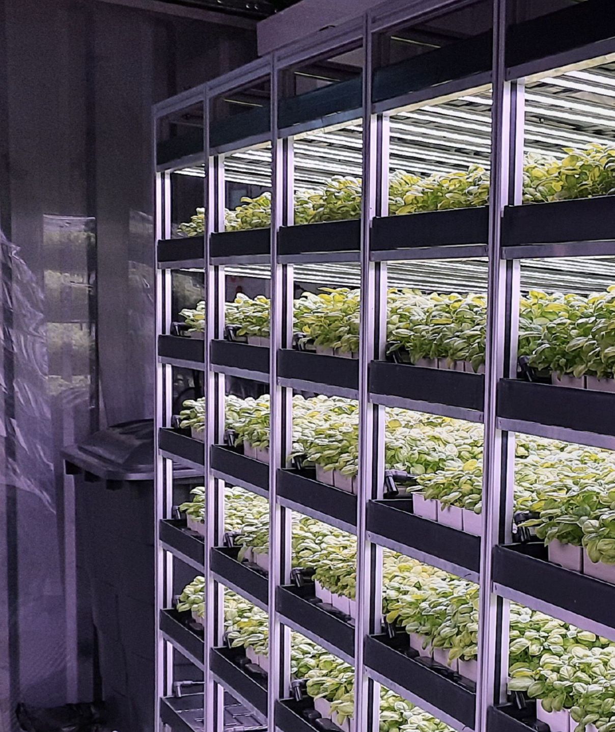 VIF Systems: a complementary farming activity supporting an innovative local industry